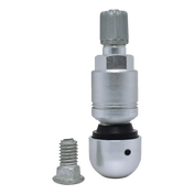 Metal tire valve stem with a removable core and separate mounting screw.